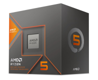 AMD Ryzen 5 8600G 100-100001237BOX - 1213365 - zdjęcie 1